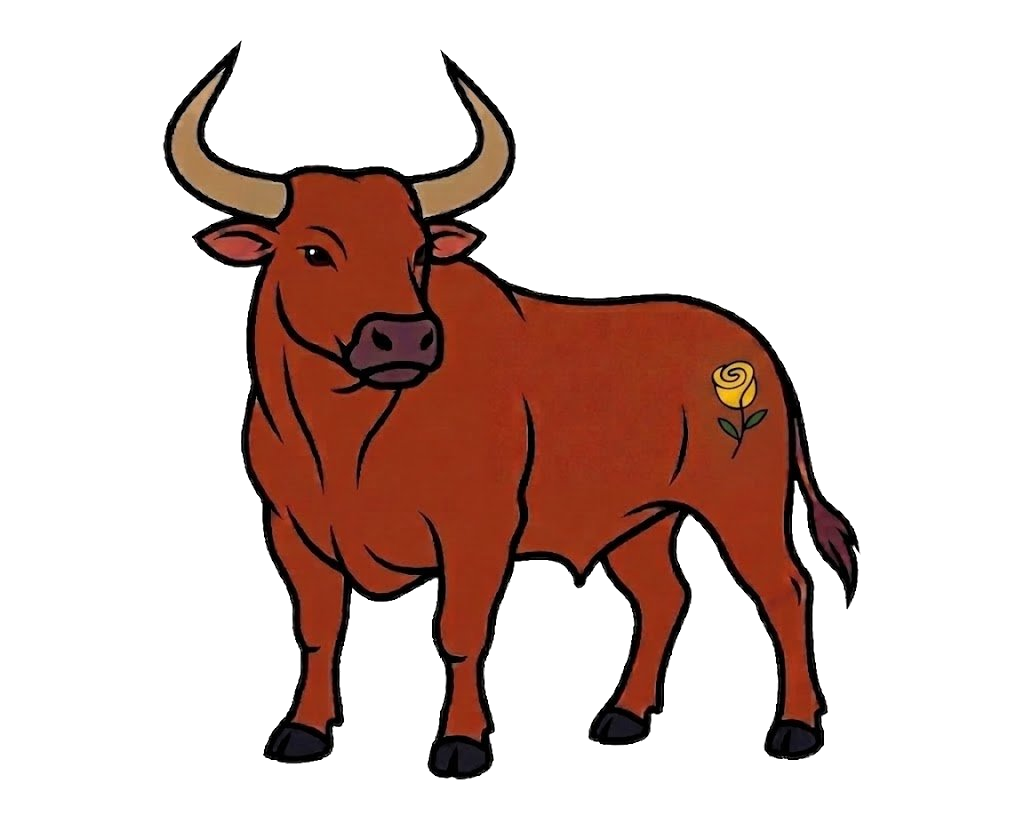 Salvador the bull